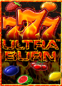 สัมผัสความสนุกกับ elephant slot เกมสล็อตน่าสนใจ